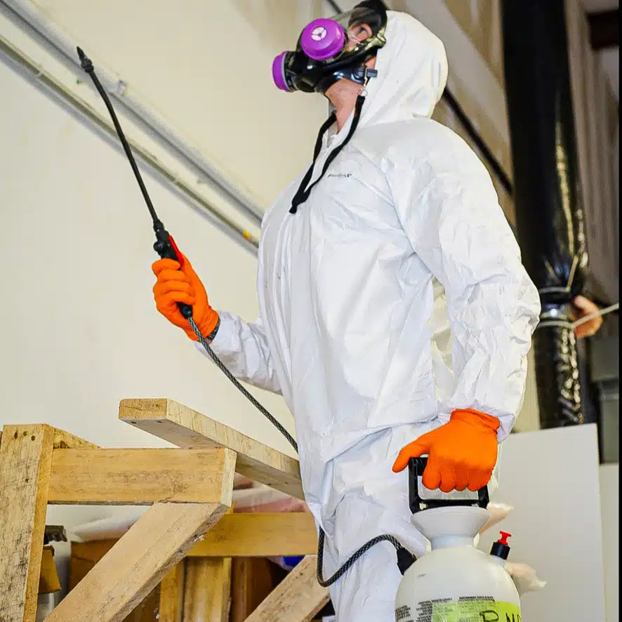 10 signs of mold in a home