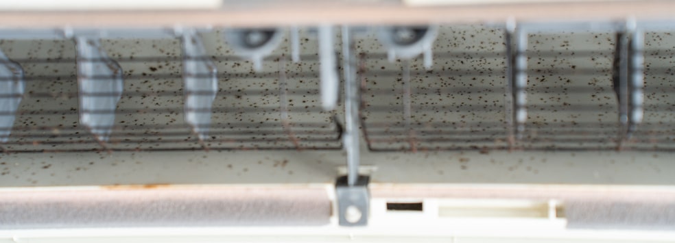 iStock 2243752852 | 10 Signs Your Home Has a Mold Problem