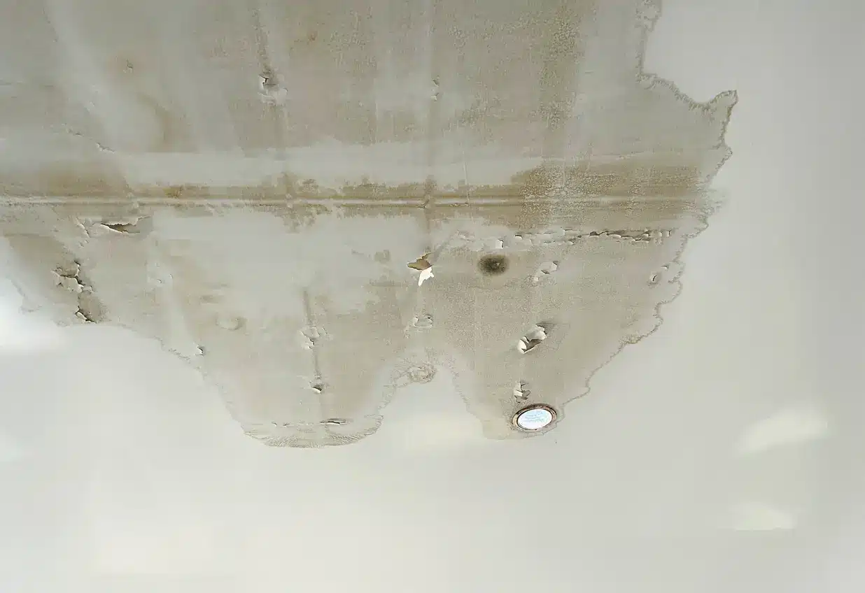 Roof leak cause Ceiling stain, Ceiling water damage